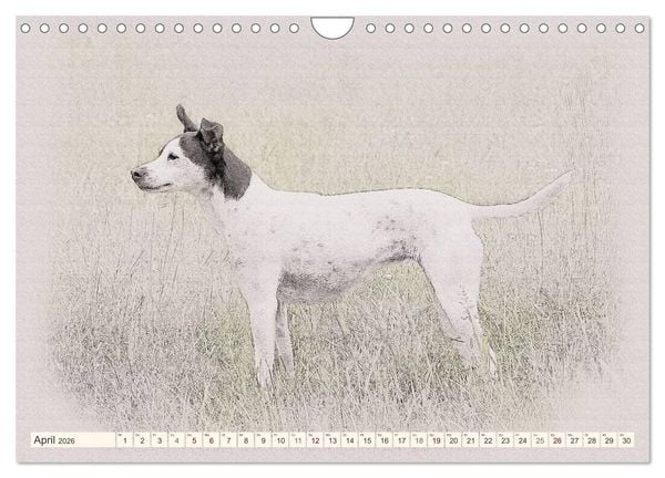 Produktbild: Bodeguero Andaluz 2026 (Wandkalender 2026 DIN A4 quer), CALVENDO Monatskalender