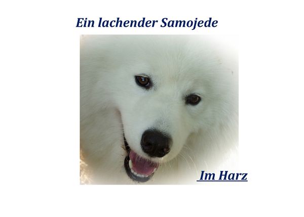 Produktbild: Kalenderbuch 2015