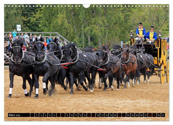 Produktbild: Schwere Warmbl&uuml;ter 2026 (Wandkalender 2026 DIN A3 quer), CALVENDO Monatskalender
