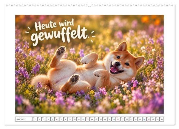 Produktbild: Zum Gl&uuml;ck gibt&rsquo;s Hunde (hochwertiger Premium Wandkalender 2027 DIN A2 quer), Kunstdruck in Hochglanz