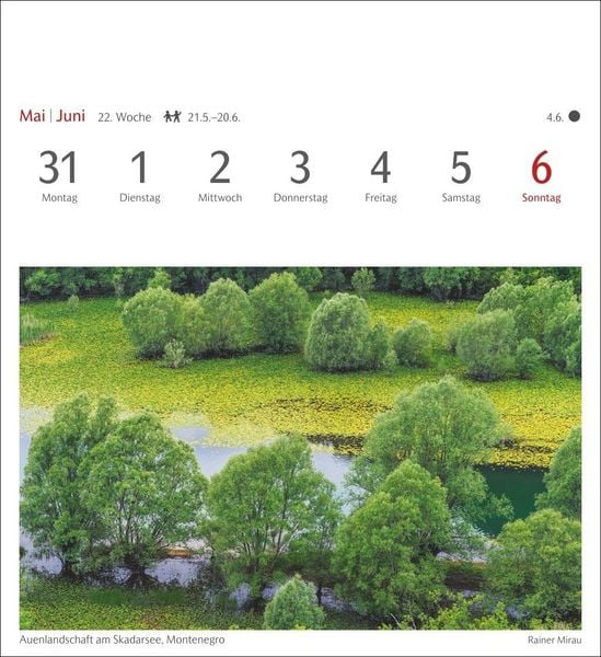 Produktbild: B&auml;ume Postkartenkalender 2027 - Wochenkalender mit 53 Postkarten