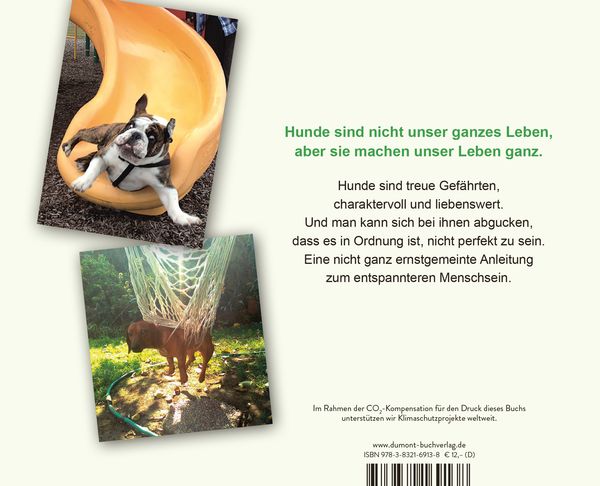 Produktbild: Der herabschauende Hund