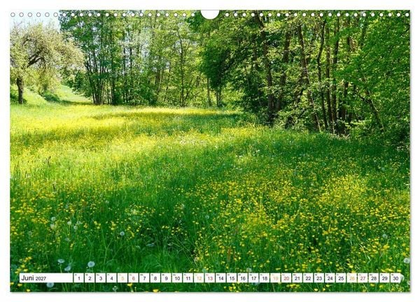 Produktbild: 12 Monate Natur (Wandkalender 2027 DIN A3 quer), CALVENDO Monatskalender