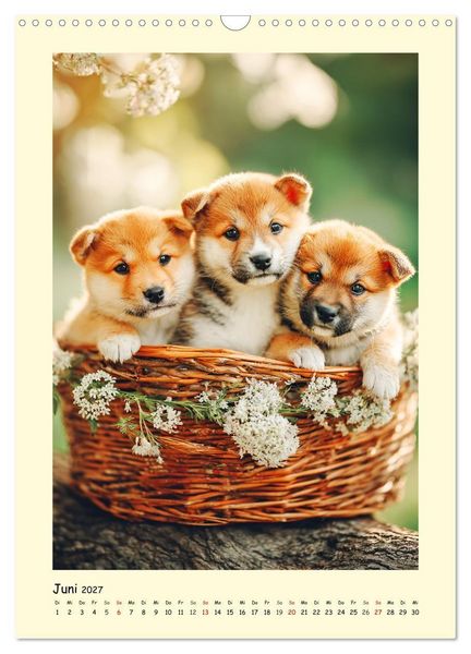 Produktbild: Shiba Inu Momente. Japans elegante Seelenhunde (Wandkalender 2027 DIN A3 hoch), CALVENDO Monatskalender