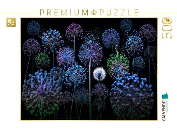 CALVENDO Puzzle Allium fantasia | 500 Teile Lege-Größe 48 × 36 cm Foto-Puzzle für Erwachsene