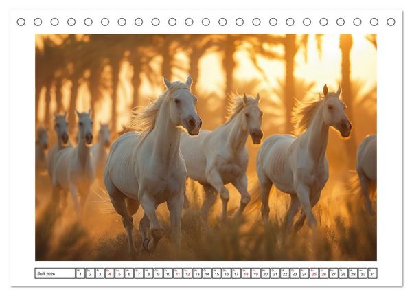 Produktbild: Bezaubernde Eleganz wei&szlig;er Pferde (Tischkalender 2026 DIN A5 quer), CALVENDO Monatskalender