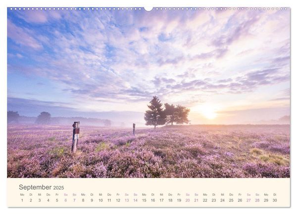 Mehlinger Heide (Wandkalender 2025 DIN A2 quer), CALVENDO Monatskalender