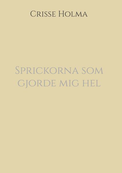 Produktbild: Sprickorna som gjorde mig hel