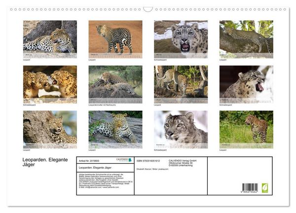 Produktbild: Leoparden. Elegante J&auml;ger (Wandkalender 2026 DIN A2 quer), CALVENDO Monatskalender