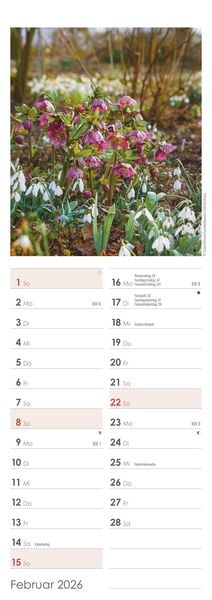 Produktbild: Gartenzauber 2026 - Streifenkalender 15x42 cm - mit viel Platz für Eintragungen - Gärten - Bildkalender - Wandplaner - Gartenkalender