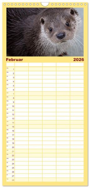 Produktbild: Familienplaner 2026 - Fischotter, flinke J&auml;ger mit 5 Spalten (Wandkalender, 21 x 45 cm) CALVENDO