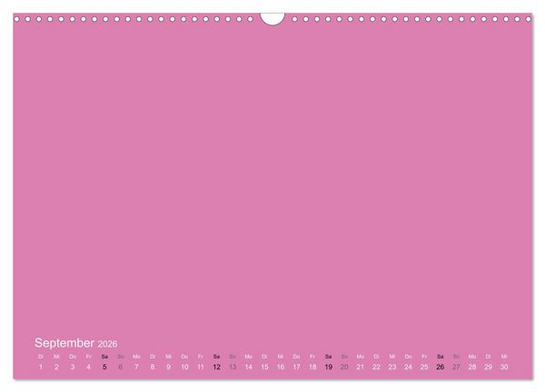 Produktbild: Bastelkalender - Pink (Wandkalender 2026 DIN A3 quer), CALVENDO Monatskalender