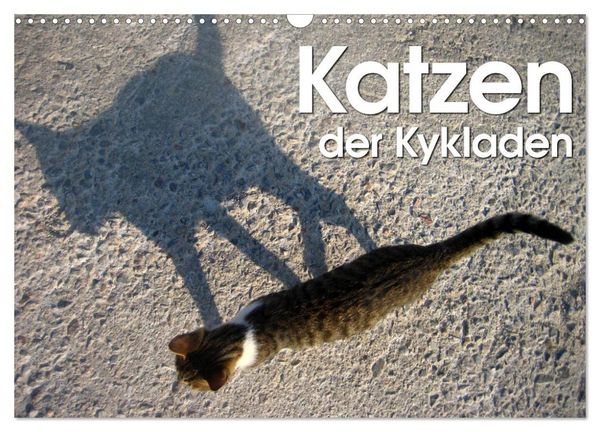 Produktbild: Katzen der Kykladen (Wandkalender 2026 DIN A3 quer), CALVENDO Monatskalender