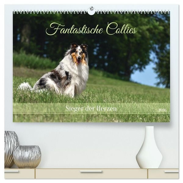 Produktbild: Fantastische Collies - Sieger der Herzen (hochwertiger Premium Wandkalender 2026 DIN A2 quer), Kunstdruck in Hochglanz