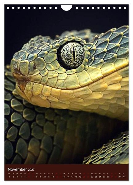 Produktbild: The Power Of Snake (Wandkalender 2027 DIN A4 hoch), CALVENDO Monatskalender