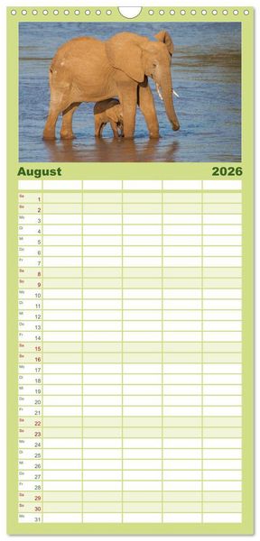 Produktbild: Familienplaner 2026 - Emotionale Momente: Afrika Wildlife. Part 3. mit 5 Spalten (Wandkalender, 21 x 45 cm) CALVENDO
