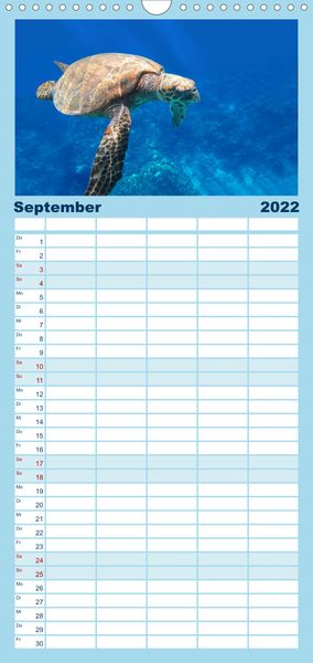 Produktbild: Riffleben - Einfach mal abtauchen - Familienplaner hoch (Wandkalender 2022 , 21 cm x 45 cm, hoch)