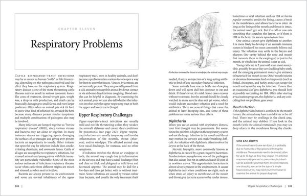 Produktbild: The Cattle Health Handbook