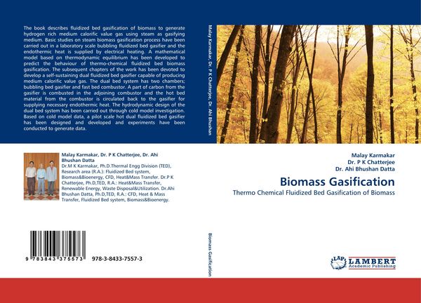 Produktbild: Biomass Gasification