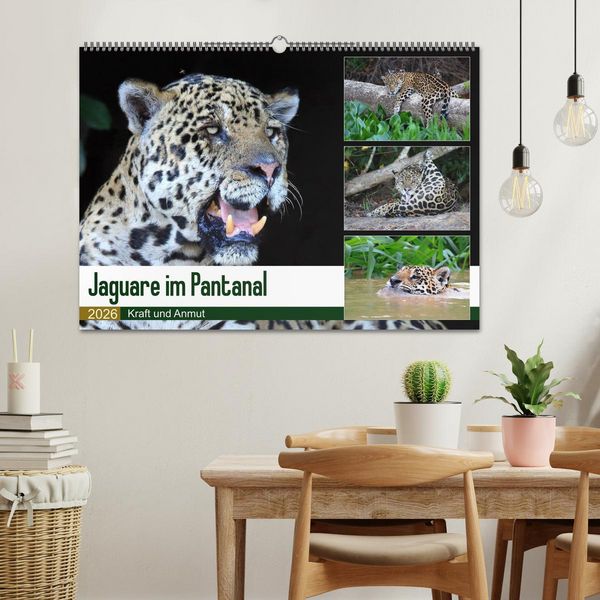 Produktbild: Jaguare im Pantanal (Wandkalender 2026 DIN A2 quer), CALVENDO Monatskalender