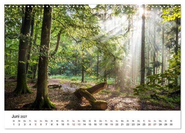 Produktbild: Taunus - Traumhafte W&auml;lder und romantische Orte (Wandkalender 2027 DIN A3 quer), CALVENDO Monatskalender
