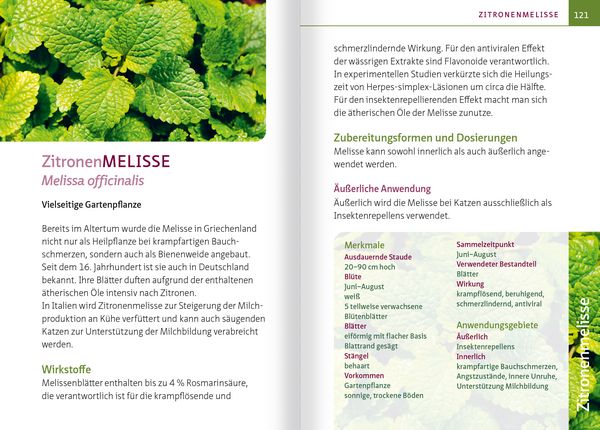 Produktbild: Gr&uuml;ne Hausapotheke f&uuml;r Katzen. Kompakt-Ratgeber