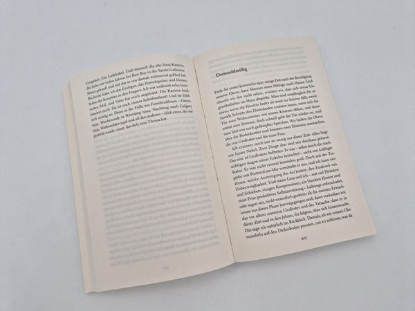 Produktbild: Frau im Mond