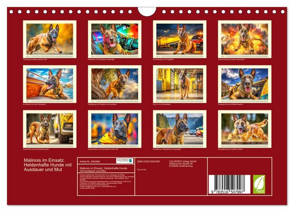 Produktbild: Malinois im Einsatz. Heldenhafte Hunde mit Ausdauer und Mut (Wandkalender 2026 DIN A4 quer), CALVENDO Monatskalender