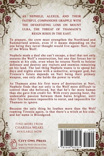 Produktbild: The Wolf and the Witch