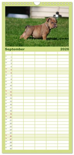 Produktbild: Familienplaner 2026 - Bulldoggen-Kinder mit 5 Spalten (Wandkalender, 21 x 45 cm) CALVENDO