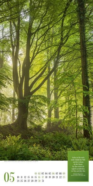 Produktbild: Mythos Wald Literatur-Kalender 2027