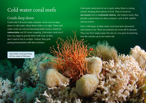 Produktbild: BIG CAT-CORAL REEFS