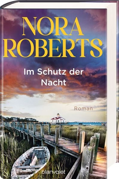 Produktbild: Im Schutz der Nacht