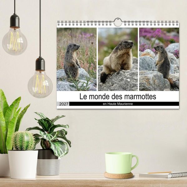 Produktbild: Le monde des marmottes en Haute Maurienne (Calendrier mural 2027 DIN A4 vertical), CALVENDO calendrier mensuel
