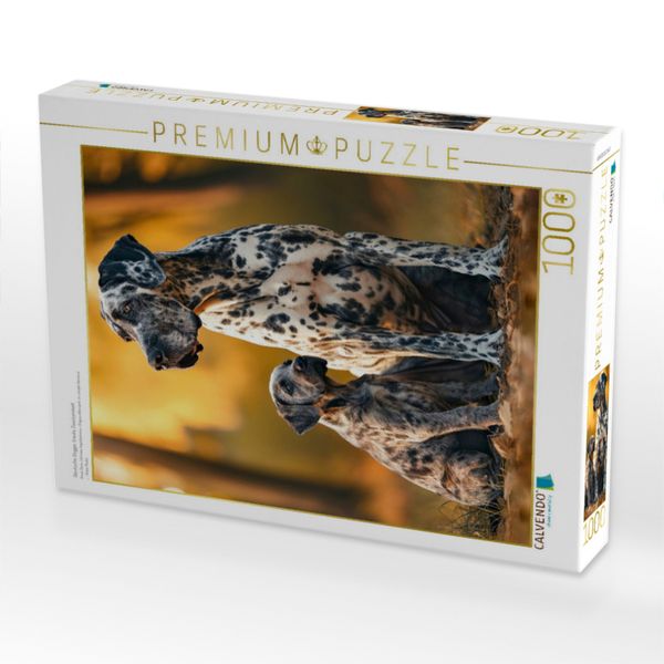 Produktbild: CALVENDO Puzzle Deutsche Dogge, traute Zweisamkeit | 1000 Teile Lege-Gr&ouml;&szlig;e 64x48cm Foto-Puzzle f&uuml;r gl&uuml;ckliche Stunden