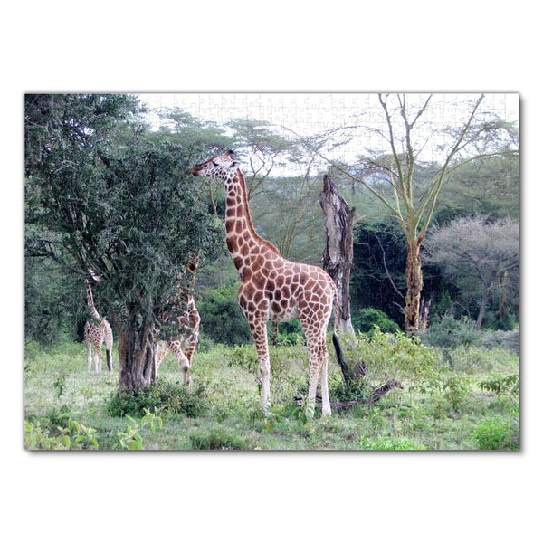 Produktbild: Lais Puzzle Giraffe 1000 Teile