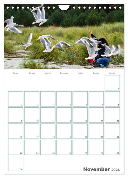 Produktbild: Ostseebad Prerow - Dar&szlig;er Momente - Terminplaner (Wandkalender 2026 DIN A4 hoch), CALVENDO Monatskalender