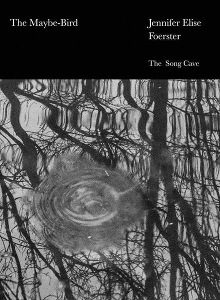Produktbild: The Maybe-Bird