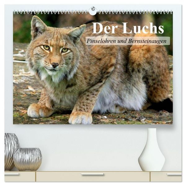 Produktbild: Der Luchs. Pinselohren und Bernsteinaugen (hochwertiger Premium Wandkalender 2026 DIN A2 quer), Kunstdruck in Hochglanz