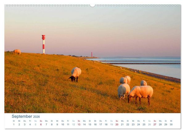 Produktbild: Butjadingen 2026. Impressionen zwischen Jade und Weser (Wandkalender 2026 DIN A2 quer), CALVENDO Monatskalender