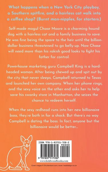 Produktbild: Anyone But The Billionaire