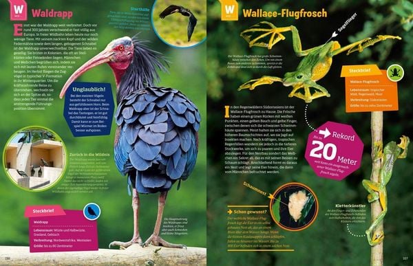 Produktbild: WAS IST WAS Geniale Tiere ... und ihre Tricks
