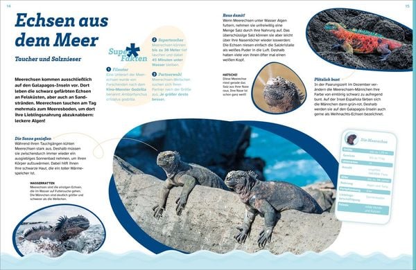 Produktbild: WAS IST WAS Echsen. Kleine Drachen hautnah