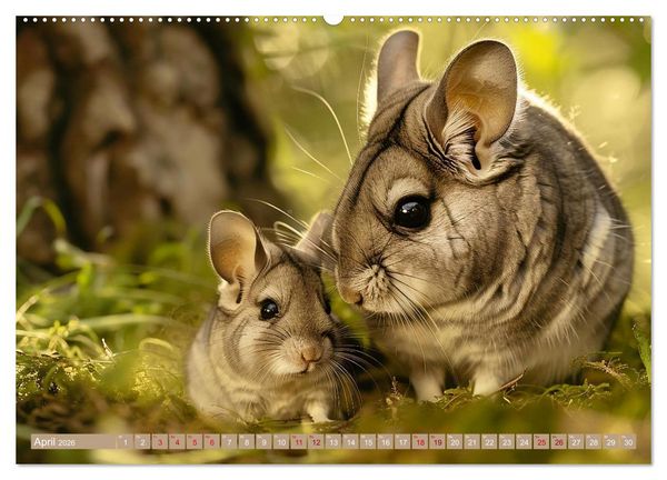 Produktbild: Tierkinder des S&uuml;dens (hochwertiger Premium Wandkalender 2026 DIN A2 quer), Kunstdruck in Hochglanz