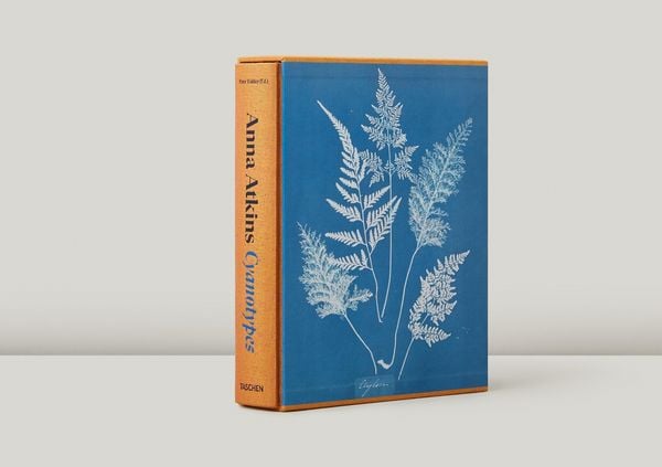 Produktbild: Anna Atkins