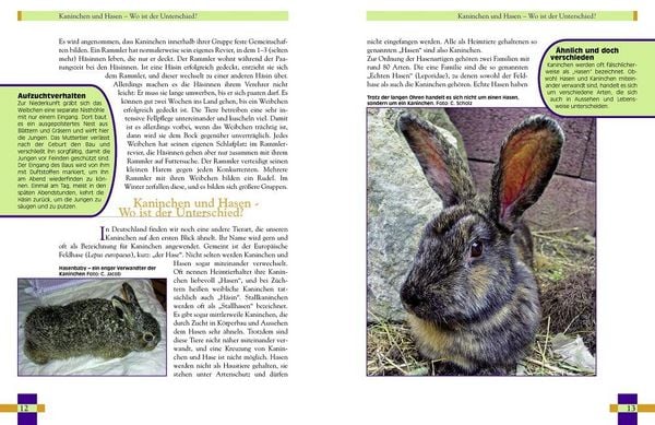 Produktbild: Leben mit Kaninchen