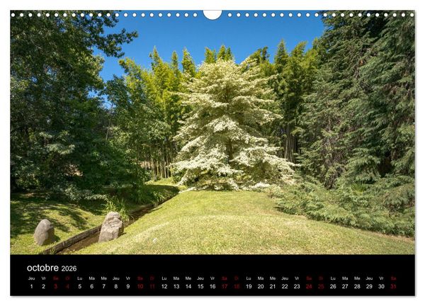 Produktbild: Nature sud de la France (Calendrier mural 2026 DIN A3 vertical), CALVENDO calendrier mensuel