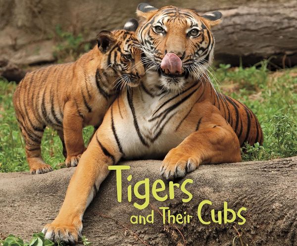 Produktbild: Tigers and Their Cubs