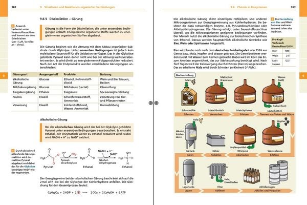 Produktbild: Basiswissen Schule &ndash; Chemie Abi