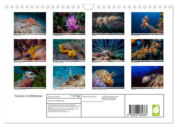 Produktbild: Tauchen im Mittelmeer (Wandkalender 2026 DIN A4 quer), CALVENDO Monatskalender